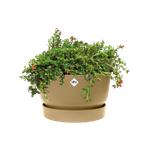 greenville schaal 33cm *goudkleurig zand